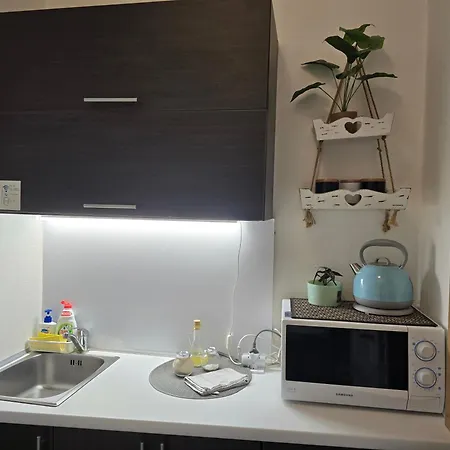 Apartment Mint Studio