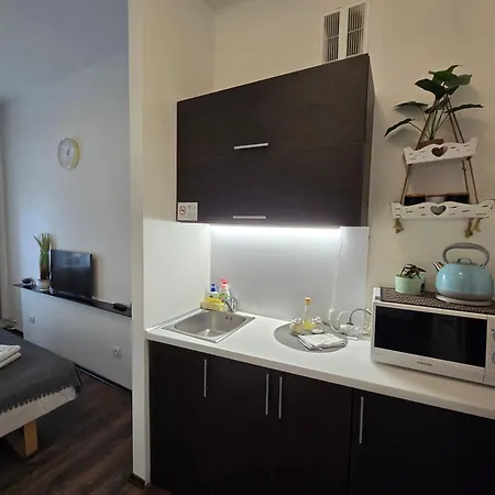 Mint Studio Apartment *